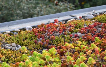 the cost of Piltown green roof installation