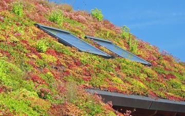 Piltown living roof systems