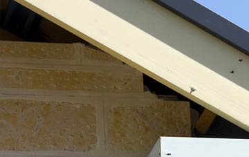 soffit repair Piltown